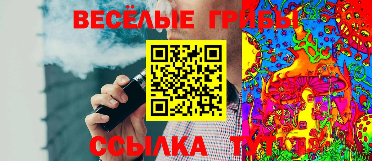 Псилоцибиновые грибы мицелий Кашира