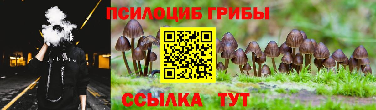 Кашира  Псилоцибиновые грибы Magic Shrooms  Вход с VPN 